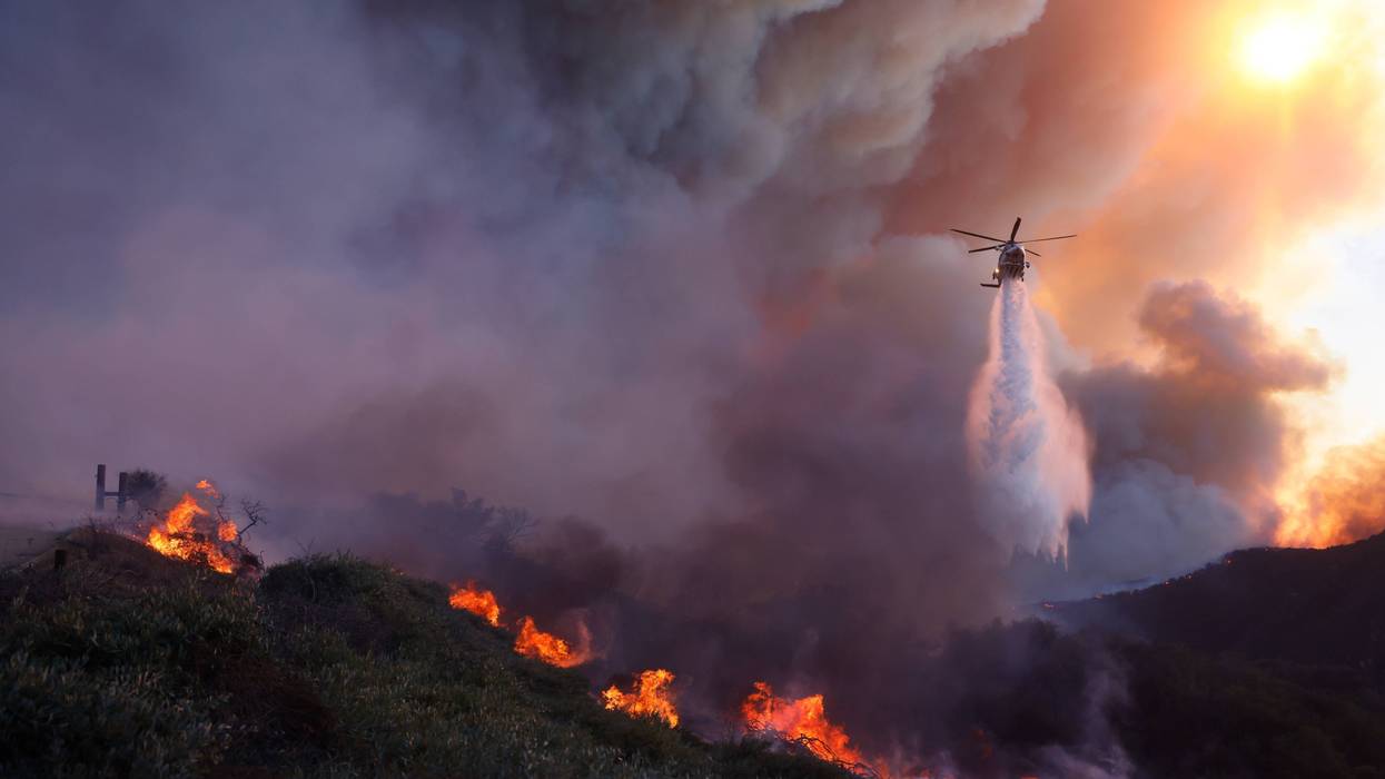 California Wildfires Palisades Investigation