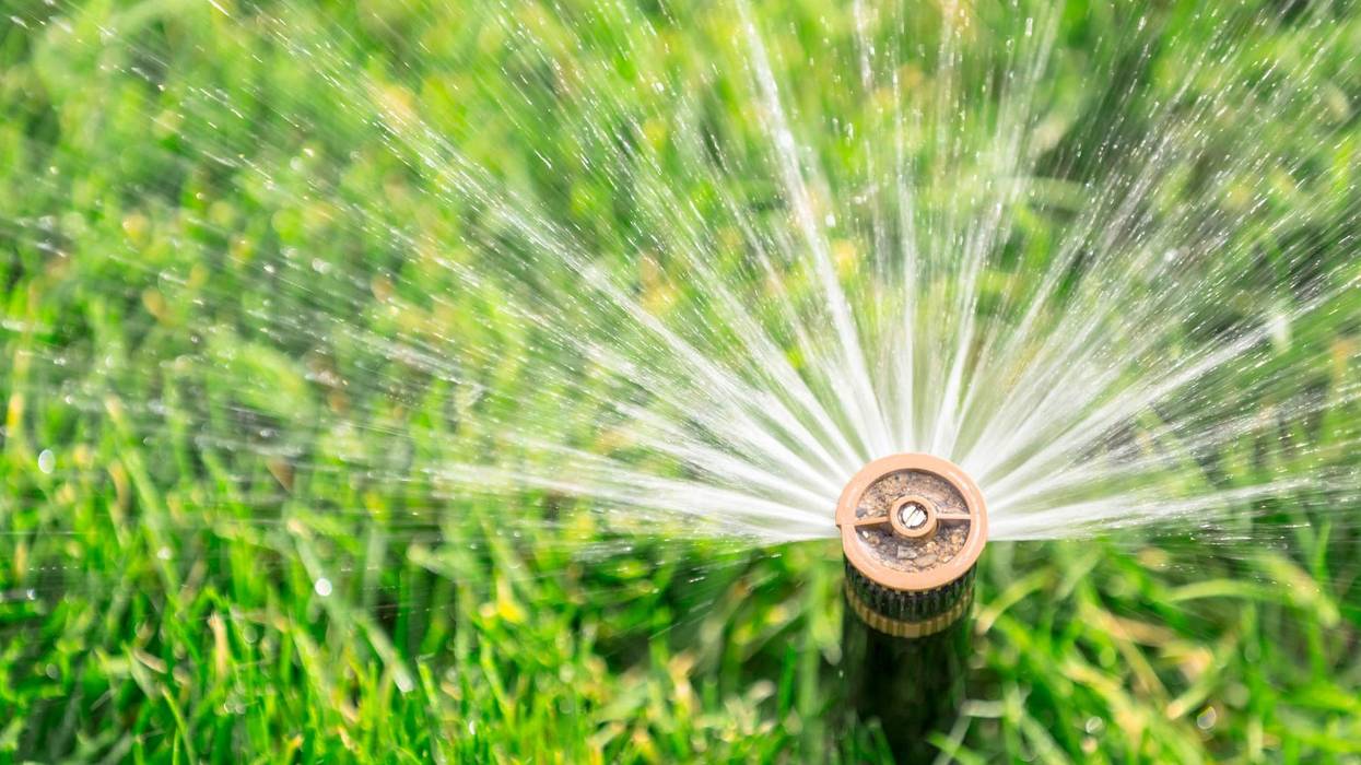 Californians are being asked to conserve water due to drought conditions. A recent study suggested that anonymous water waste reporting can contribute to conservation. (Getty Images)