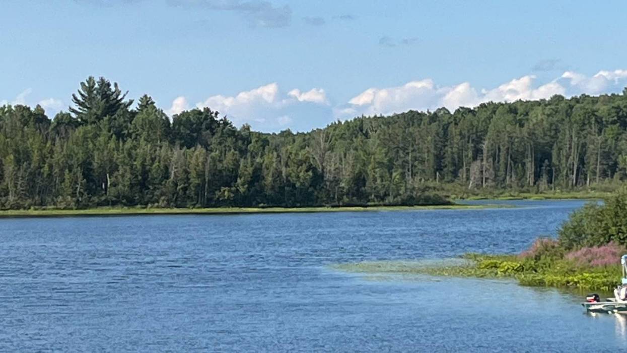 Calm blue lake bordered by a lush green forest under a bright blue sky with white clouds.