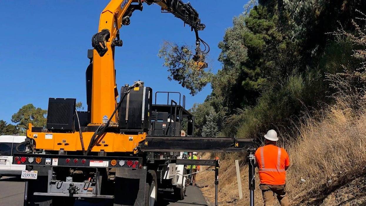Caltrans crews cut down dying trees along Bay Area highways