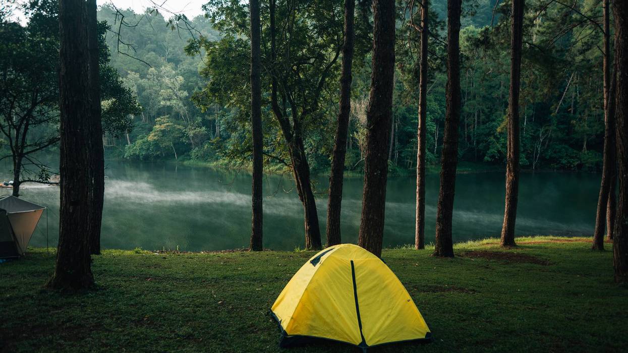 Camping tent in a pine tree field by the river with morning light