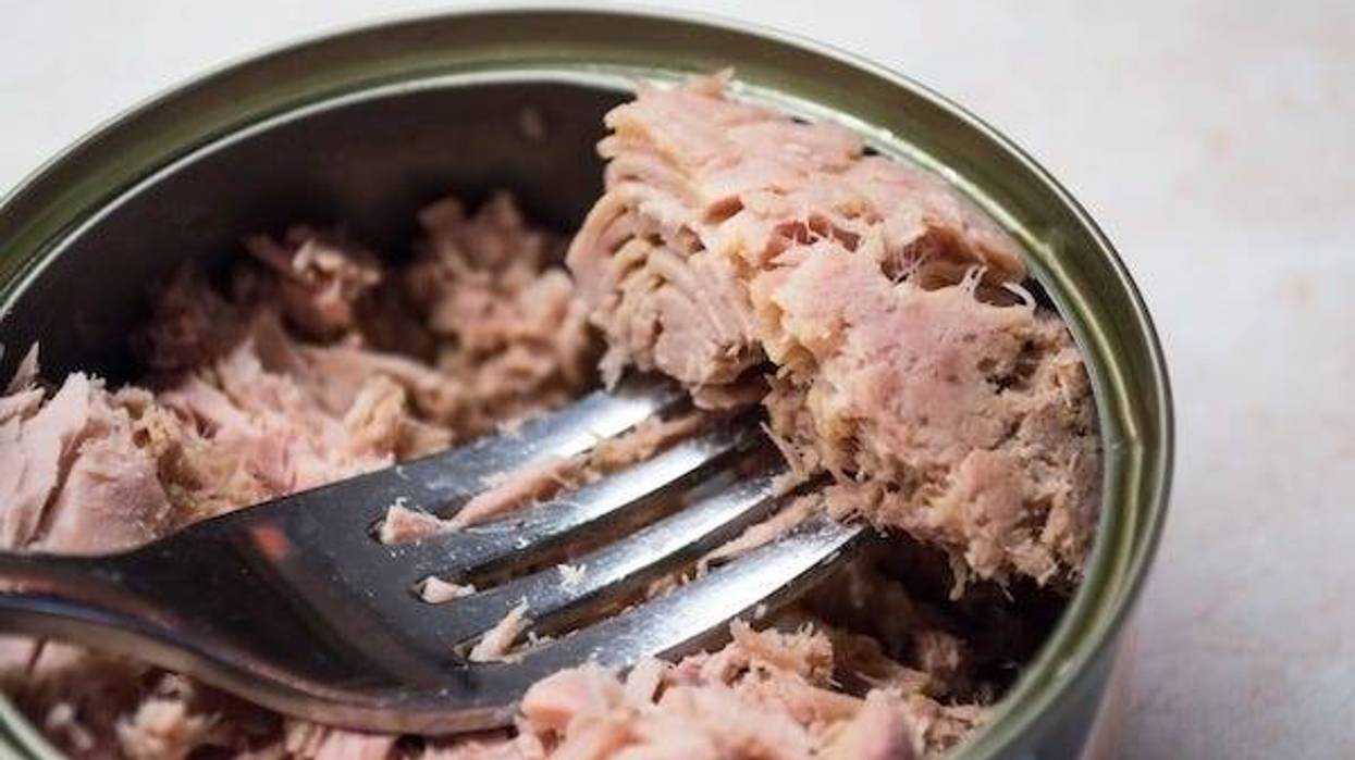 Can of tuna fish and a fork