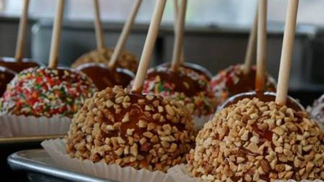 A Topsfield Fair Resident’s Guide to the Good Stuff