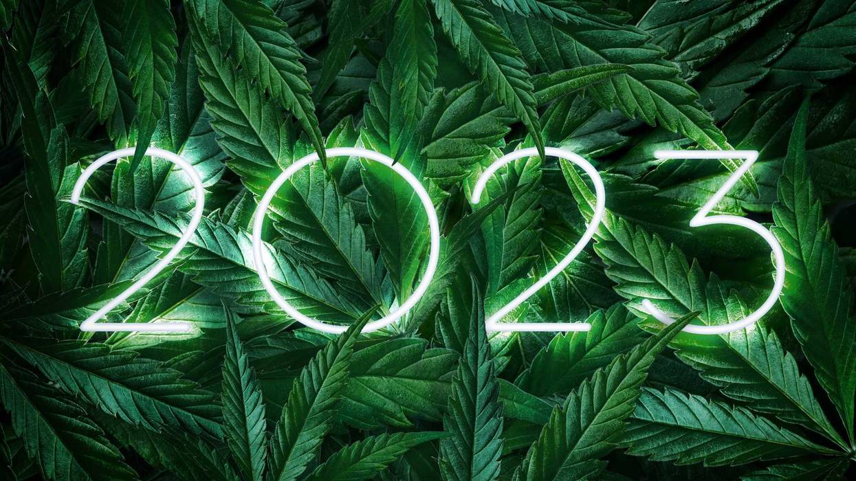 cannabis and year 2023