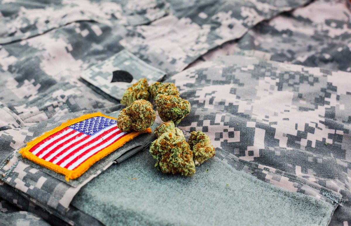 Cannabis buds on an army uniform.