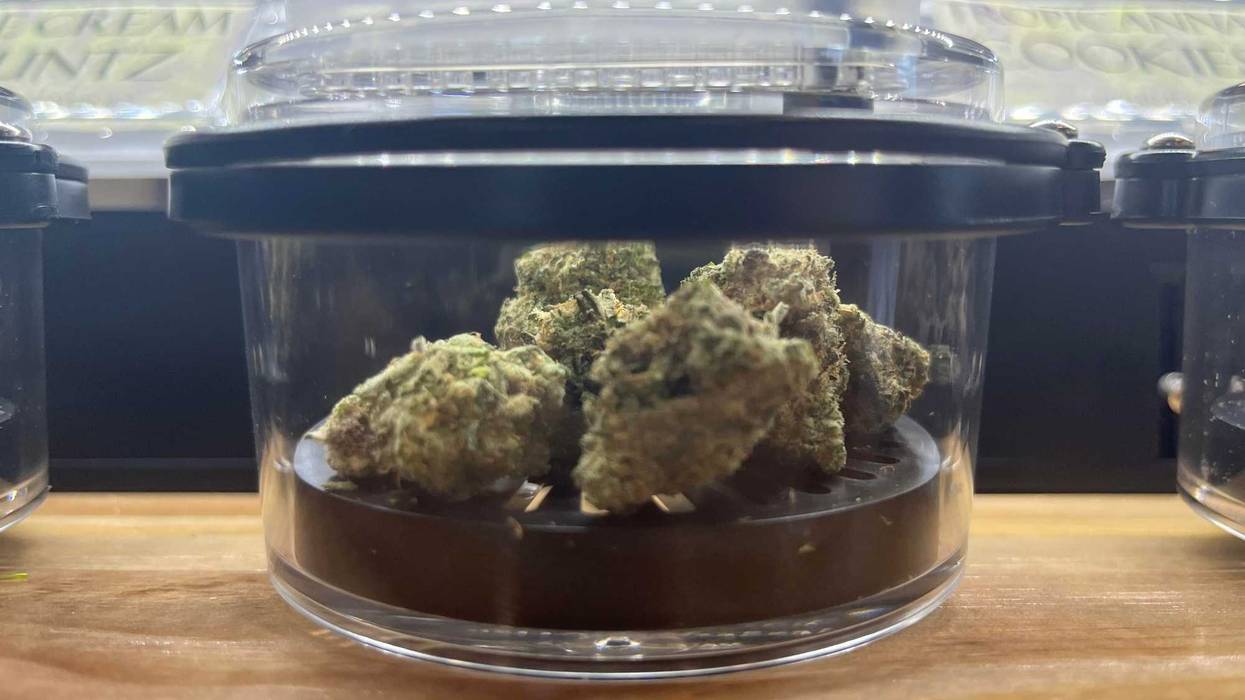 Cannabis inside Nativa Cannabis, Seneca Nations first Nation-owned dispensary on Niagara Street in Niagara Falls, N.Y. (4/12/2023).