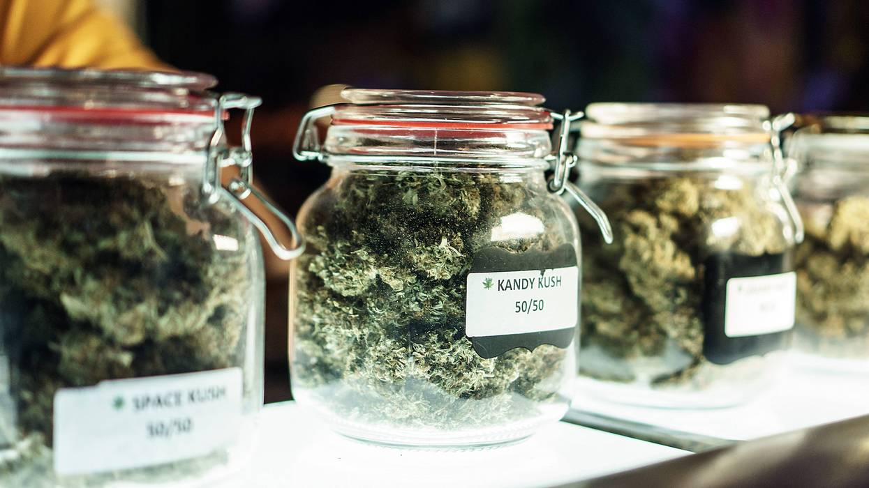 cannabis