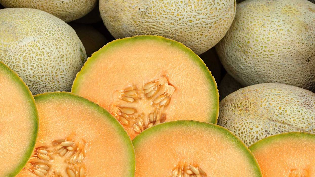 Cantaloupe.