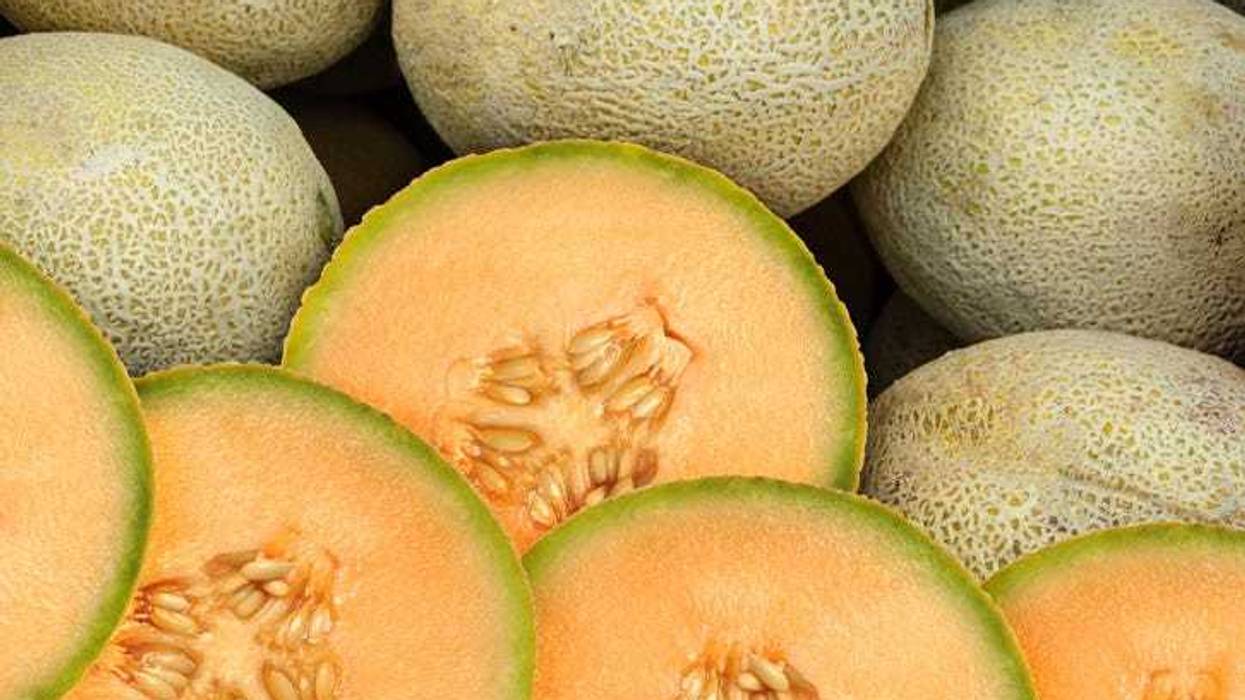 cantaloupe