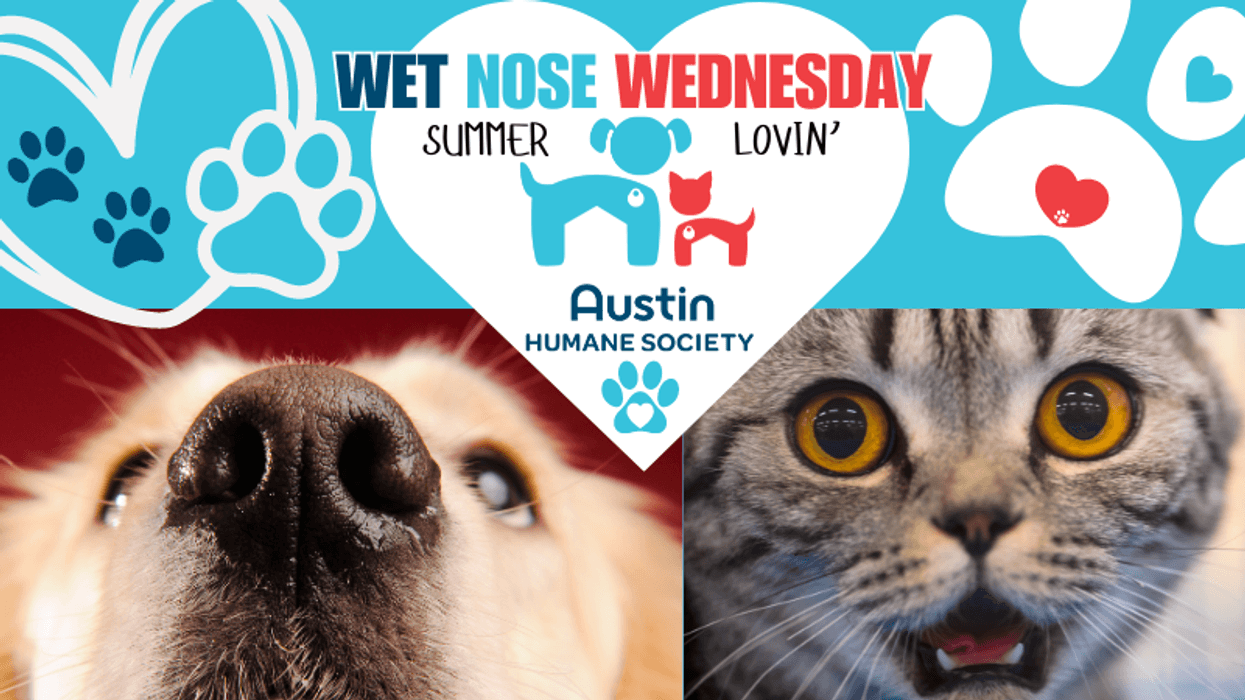 Canva Austin Humane Society