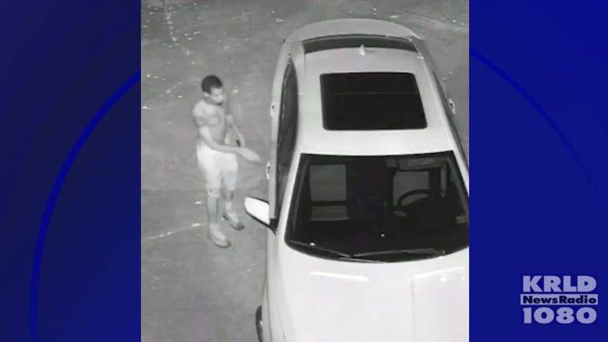 Car Burglary, Gun Theft