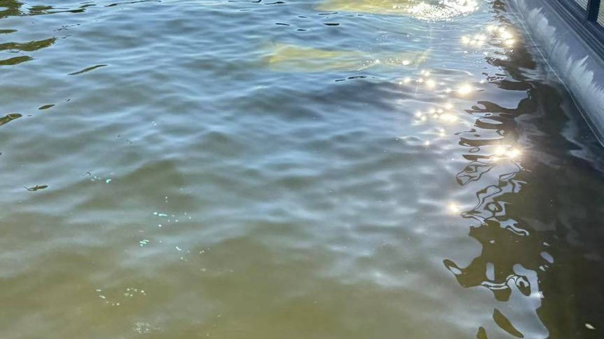Car in lake