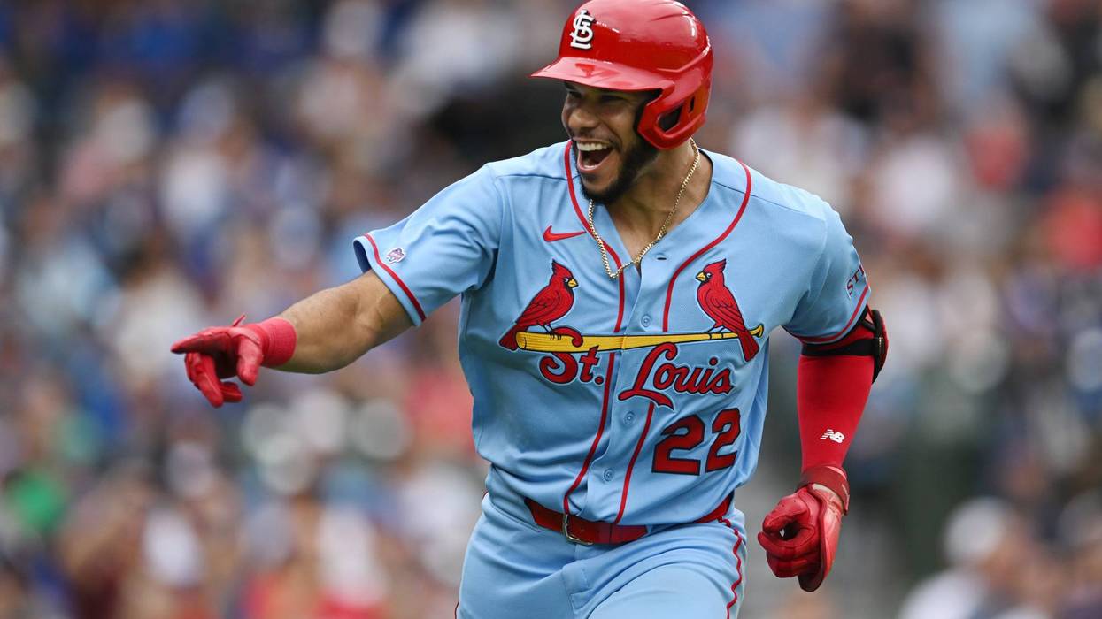 CARDENALES-CACHORROS