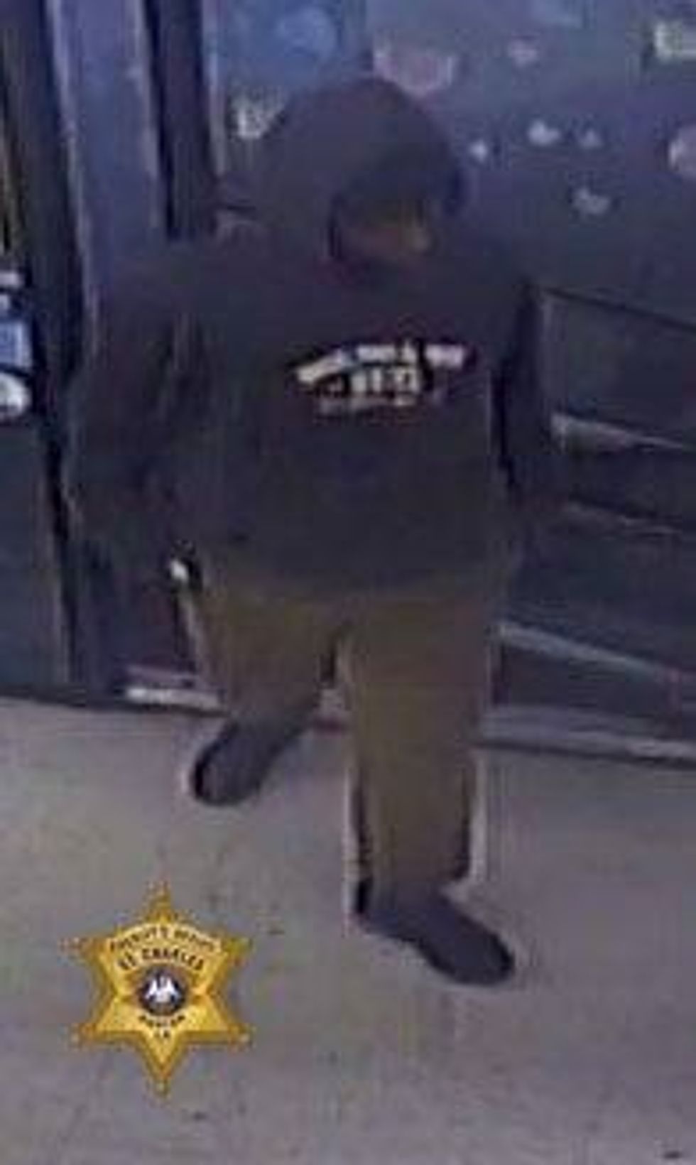 Carjacking suspect