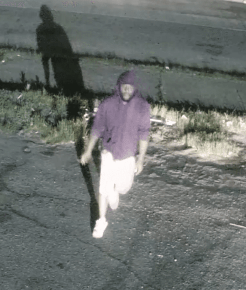 Carjacking suspect