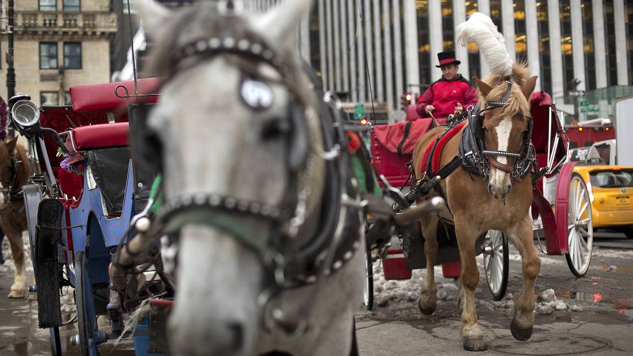NYC horse carriages set to be banned in 2028 after Mamdani deal