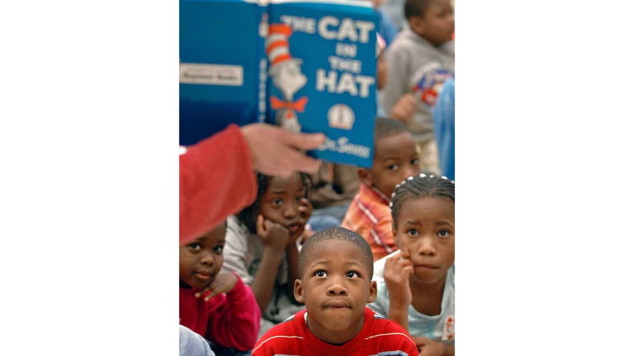 Cat in the Hat Giveaway