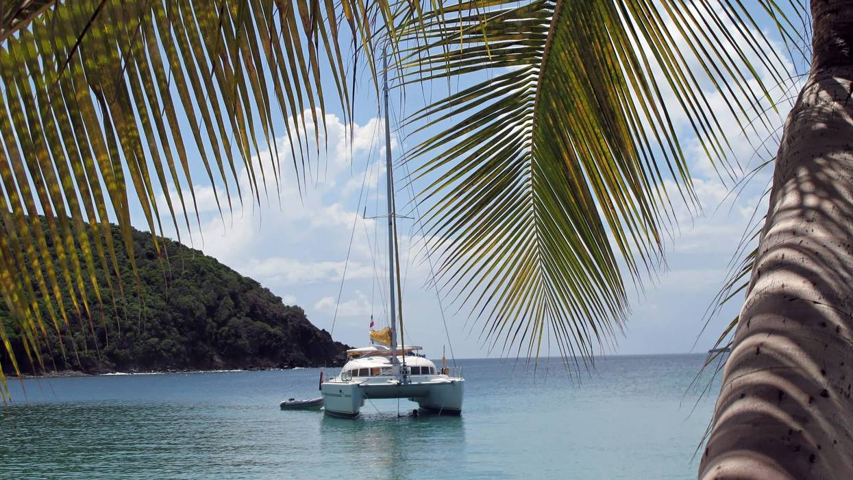 catamaran in the caribbean