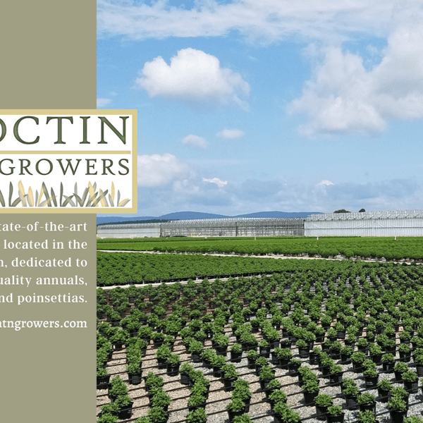 Catoctin MTN Growers