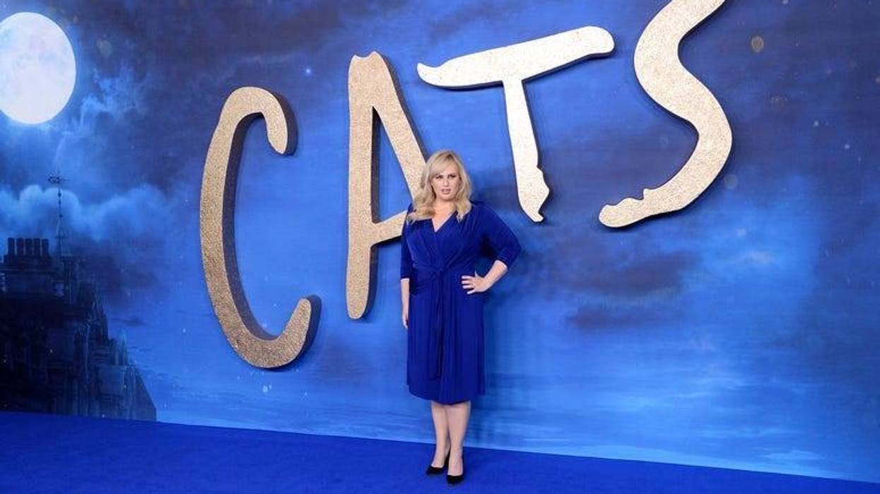 Cats