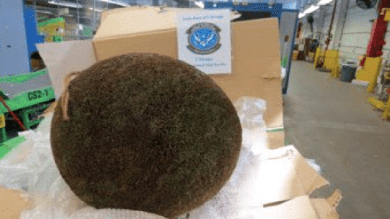 cedar ball