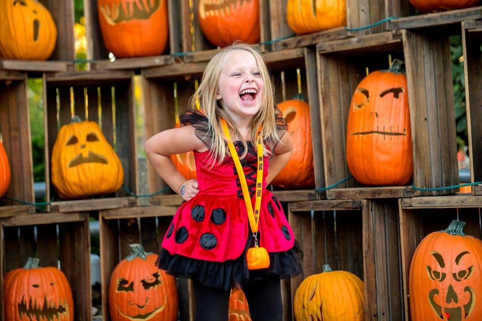 Cedar Point Fall Fest