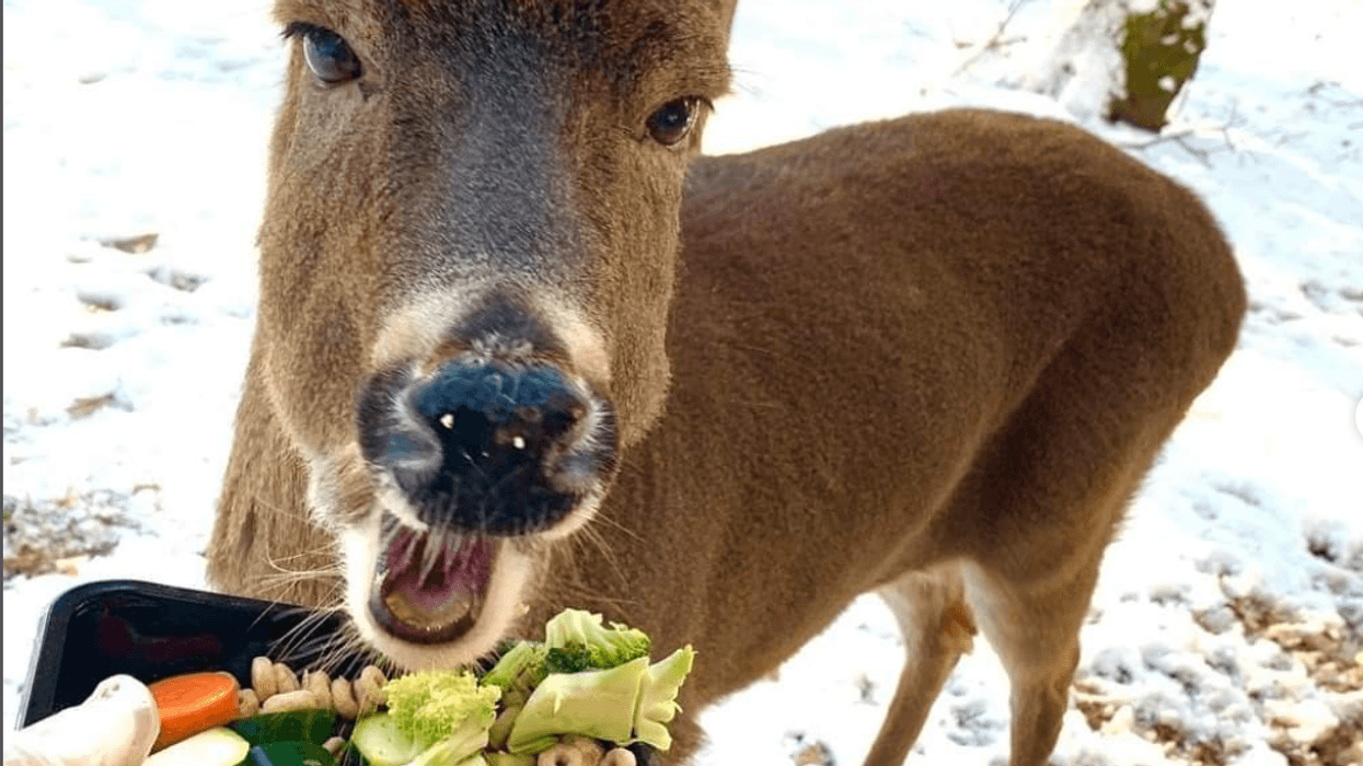 Cedar Run Wildlife Refuge