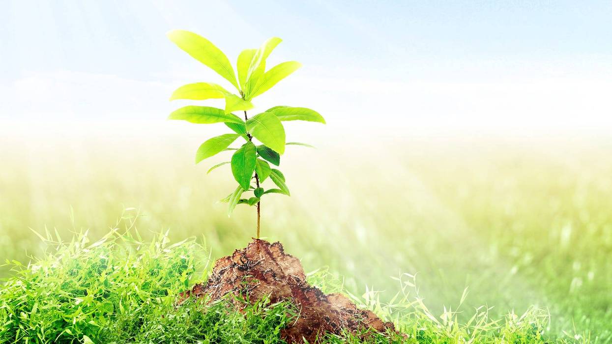 Celebrate 'Earth Month'