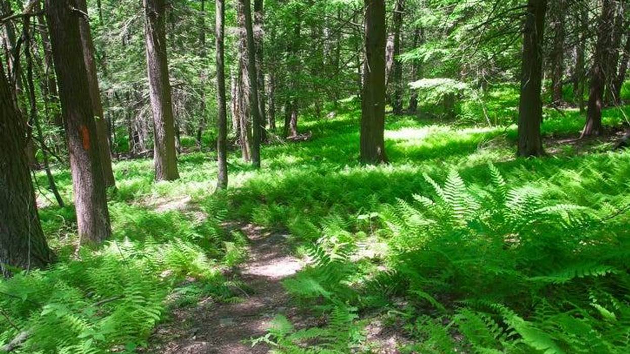 Celebrate National Trails Day June 3rd at any of the 200 events in CT!