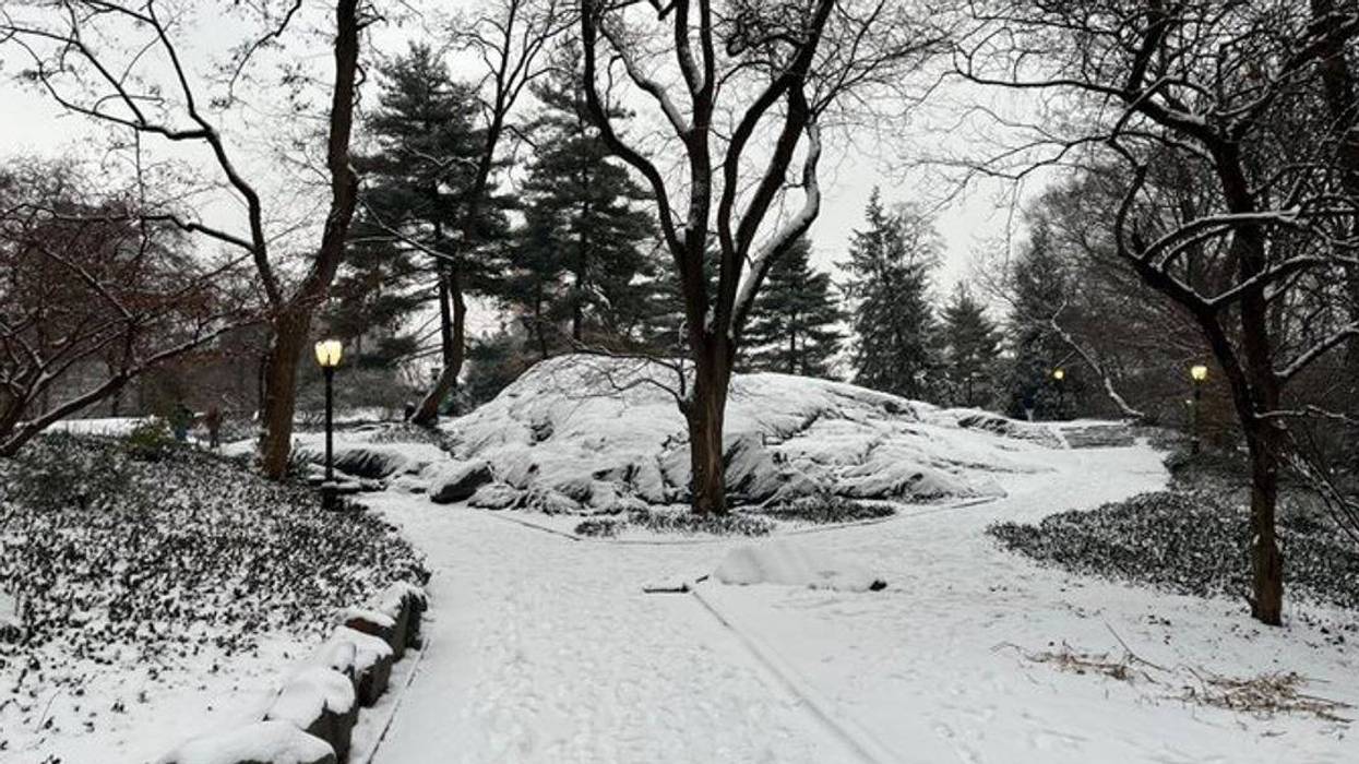 Central Park con nieve