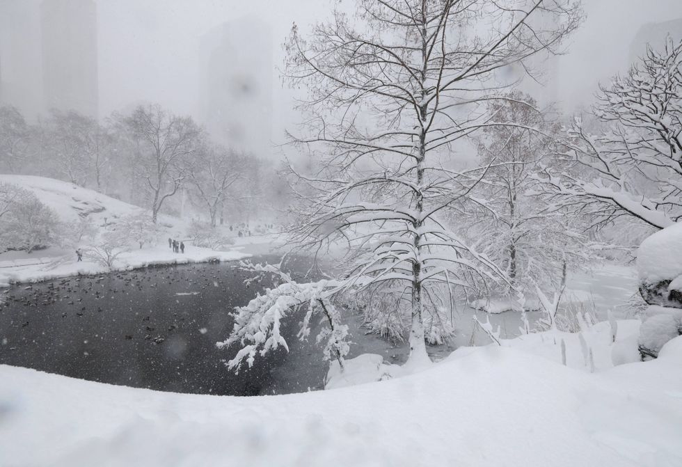Central Park is seen during the height of the blizzard Monday morning