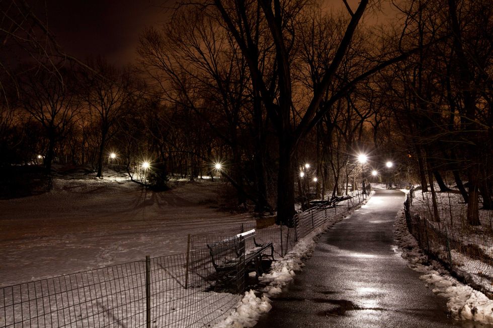 VIDEO: Coyote seen running through Central Park on snowy night