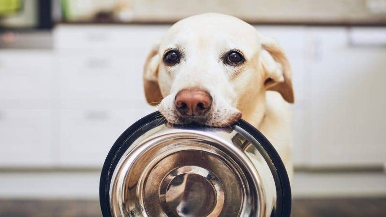 Chalabala GettyImages