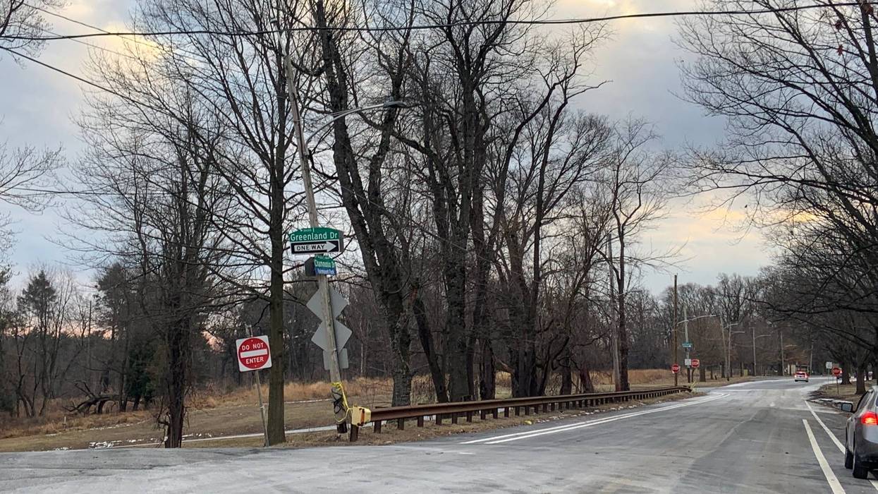 Chamounix Drive in Fairmount where two men were attacked by dogs Friday morning.