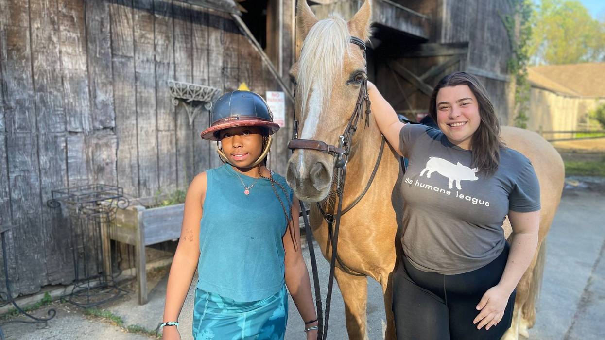 Chamounix Equestrian Center, home to the Work to Ride program