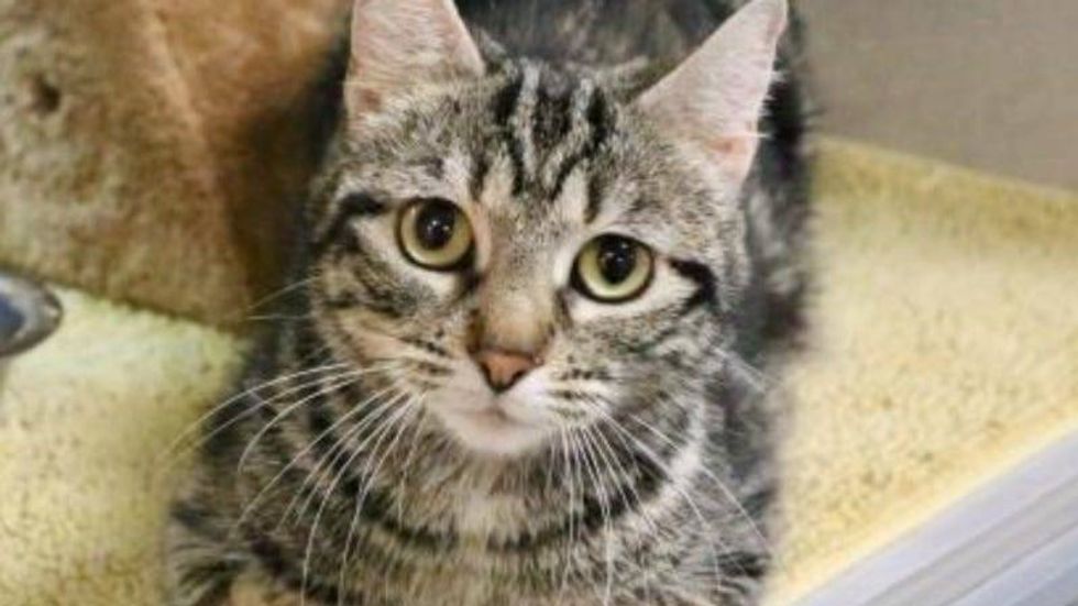 Champagne @ Austin Humane Society 5/18/22