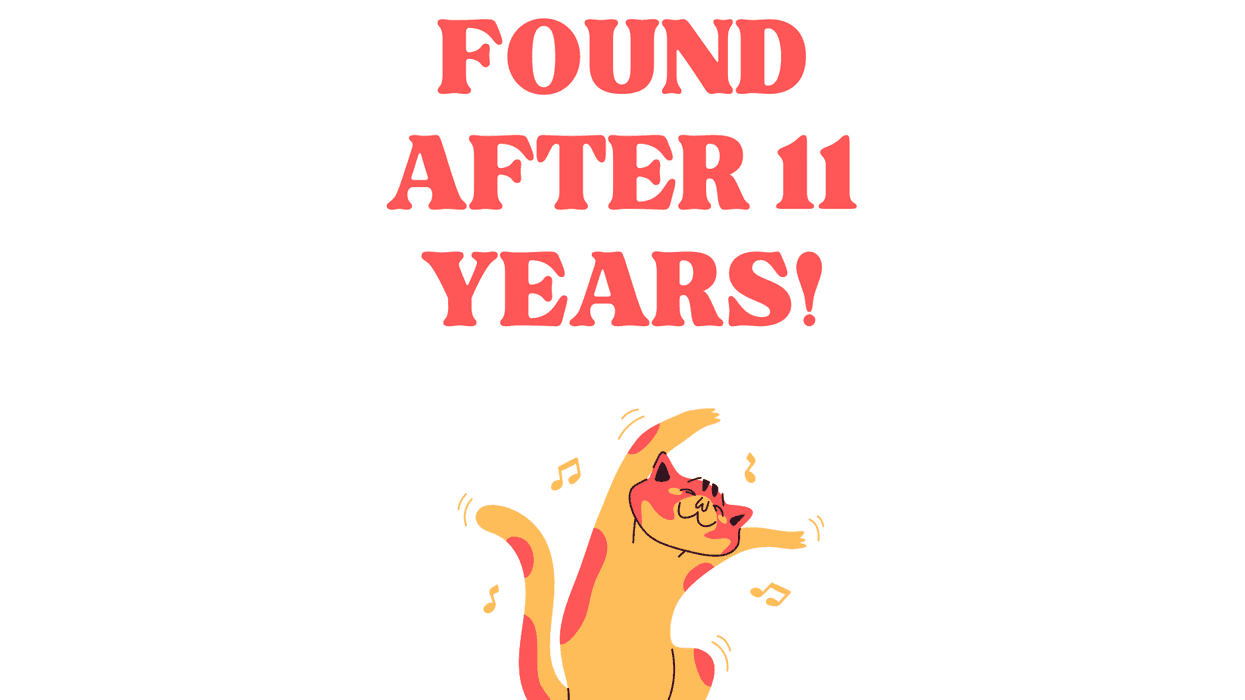 Charleston Animal Society