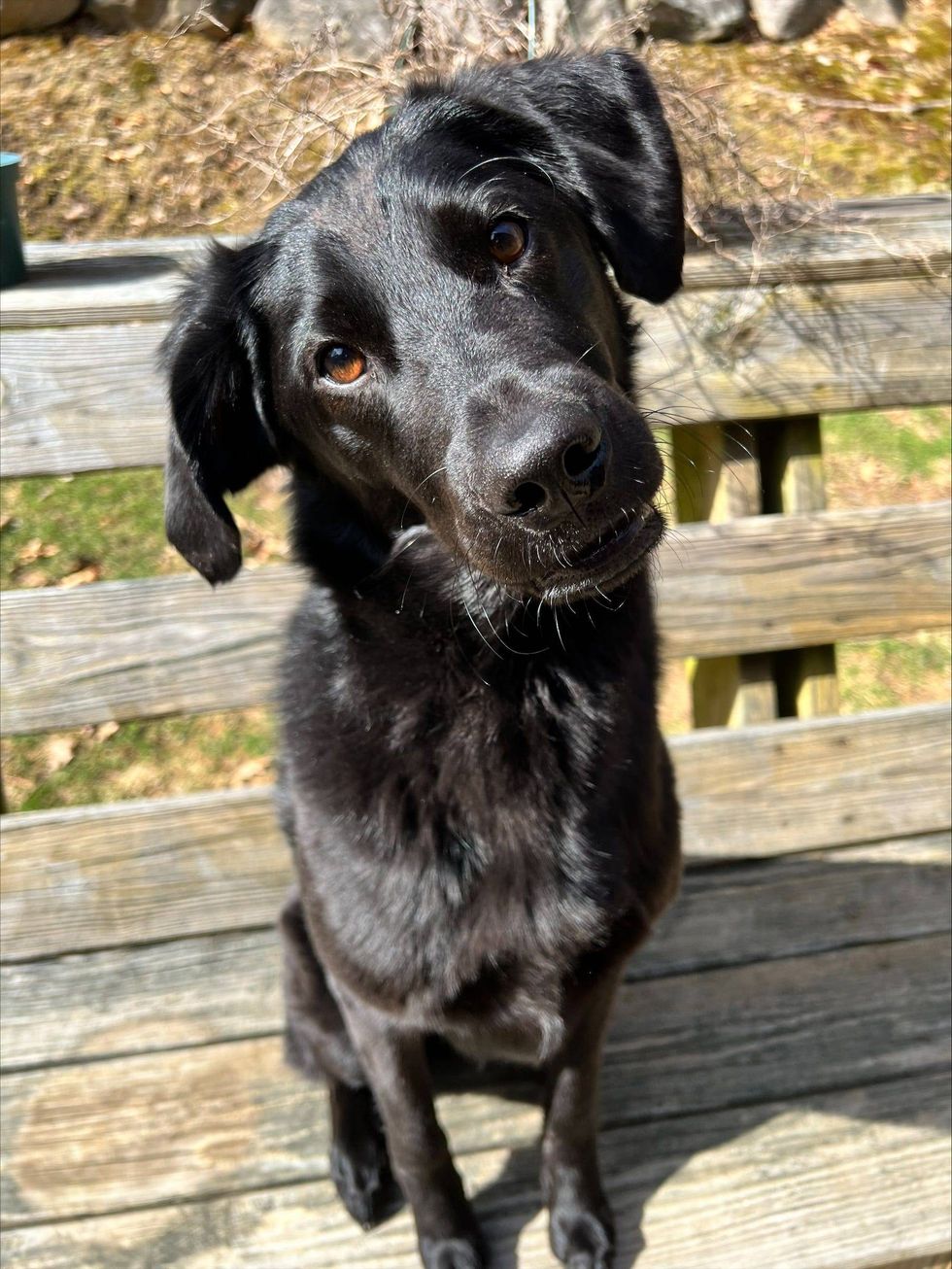Charlie