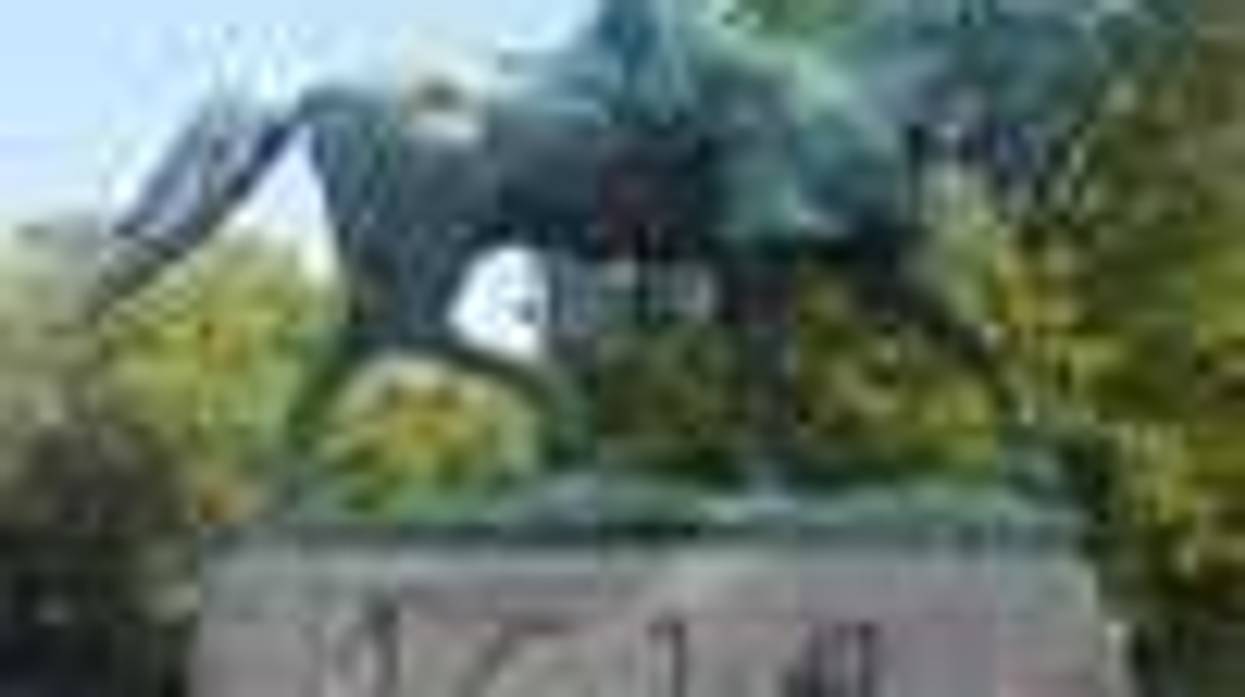 Charlottesville's Lee Statue