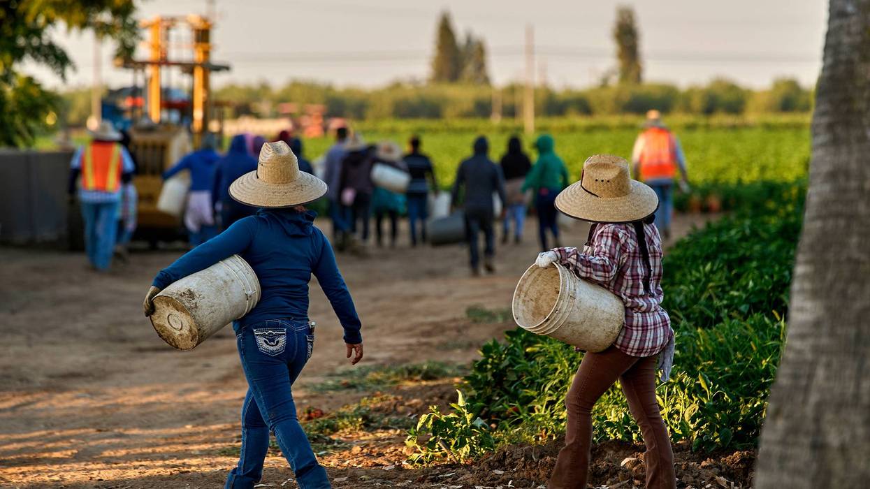 Chavez Women Farmworkers