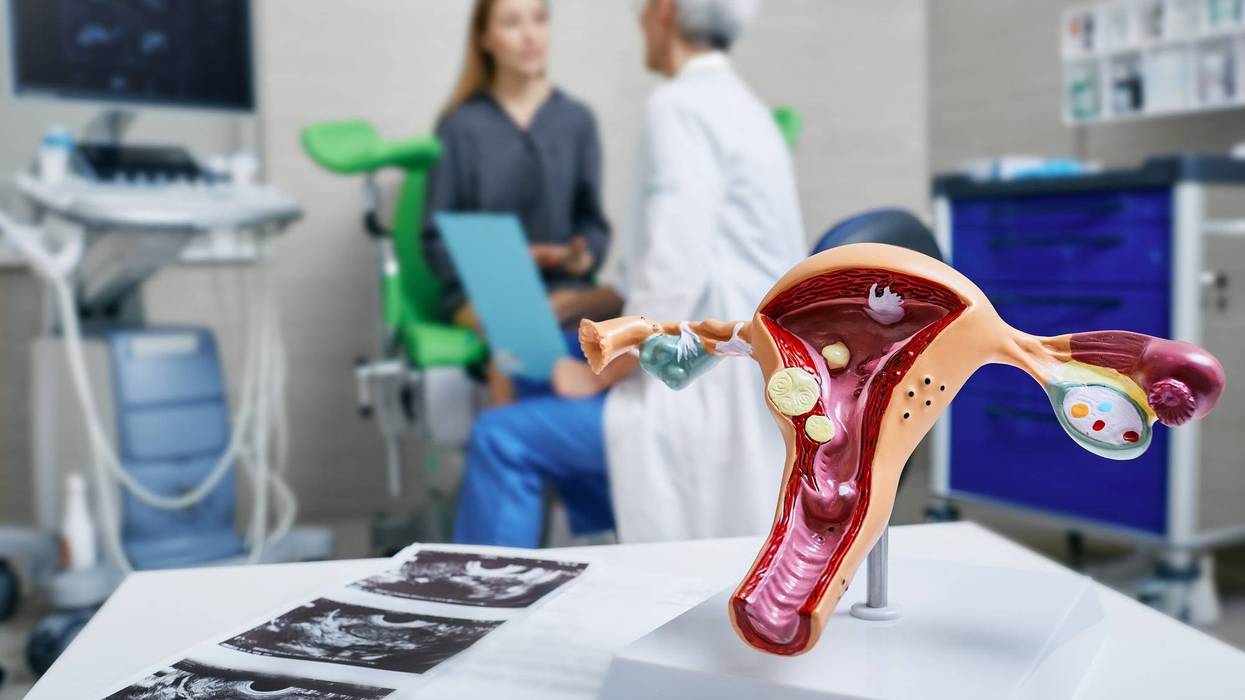 Check-up of woman by doctor gynecologist for prevention and treatment of female gynecological diseases. Gynecology, women's health concept