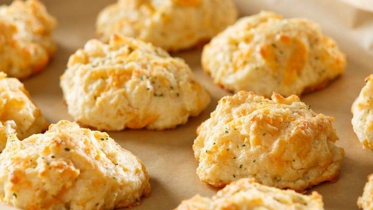cheddar biscuits