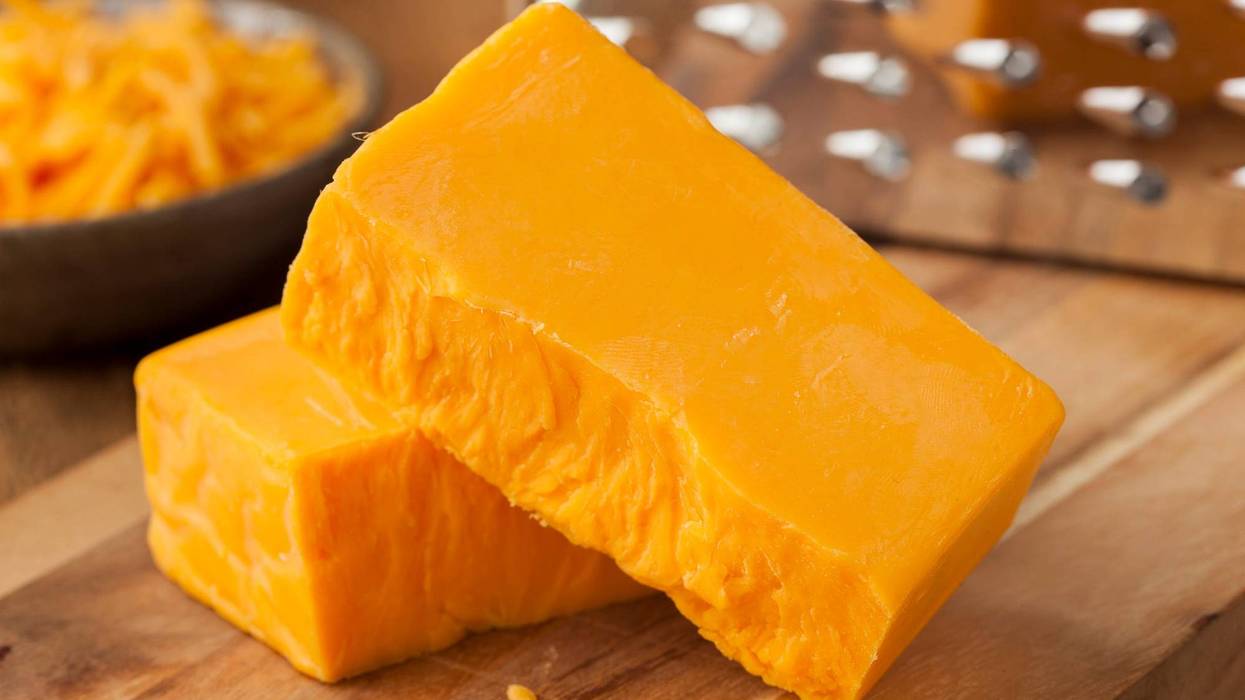 cheddar cheese