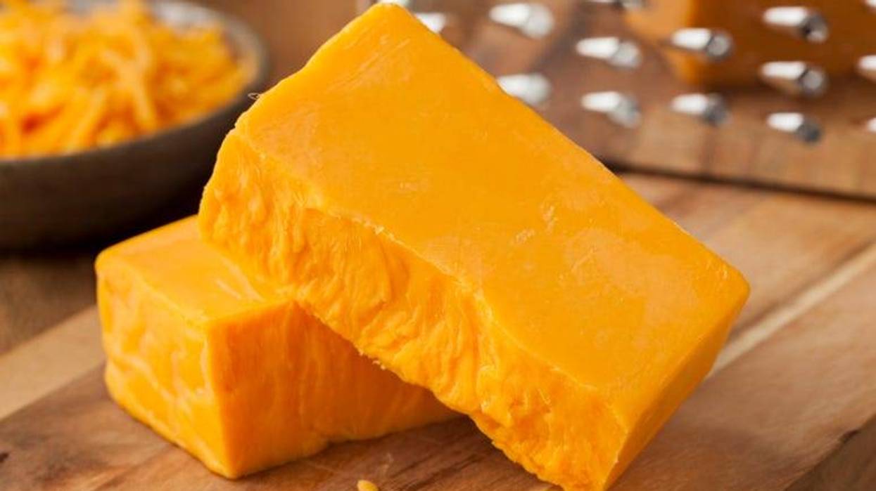 Cheese