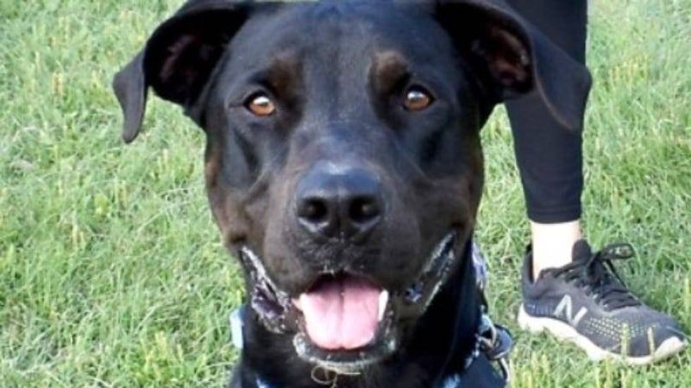 Chef Boyardee @ AHS 1/15/25