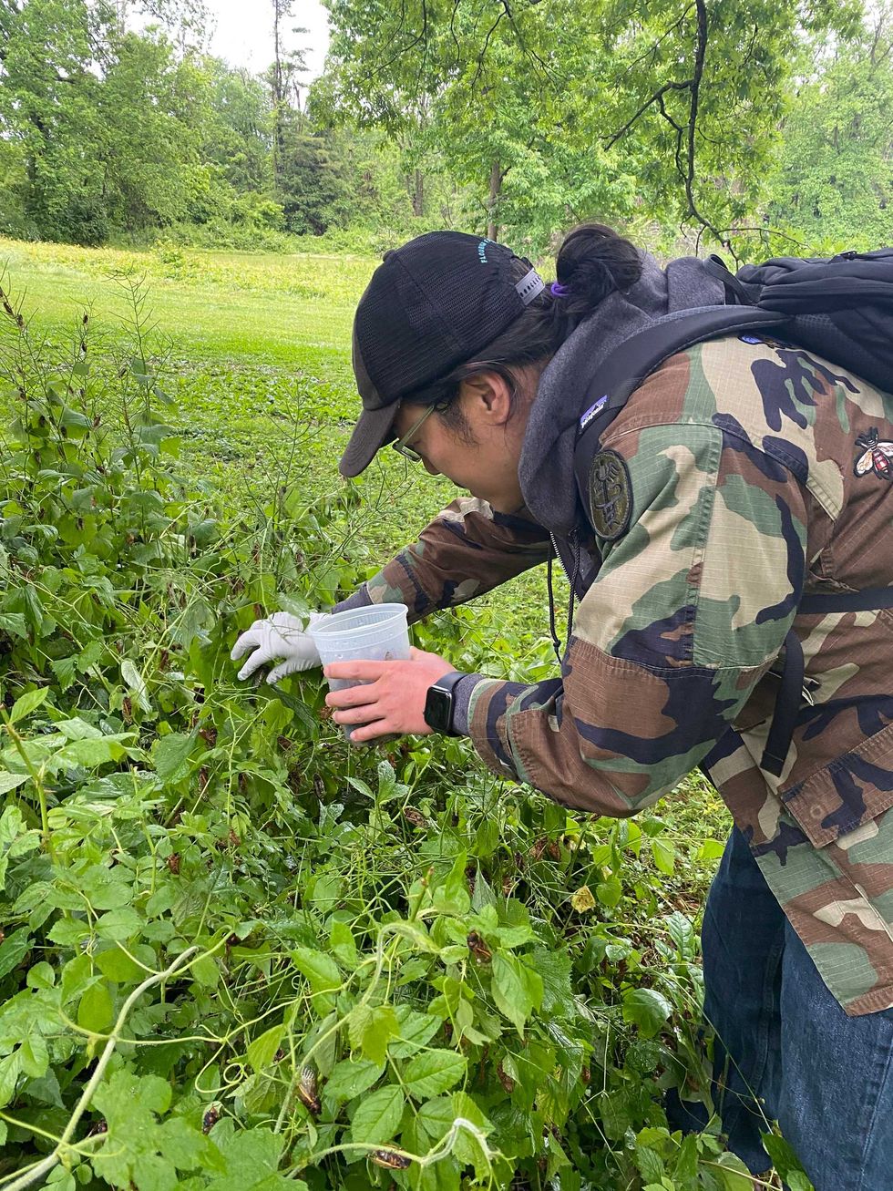 Chef Joseph Yoon foraging in 2021.