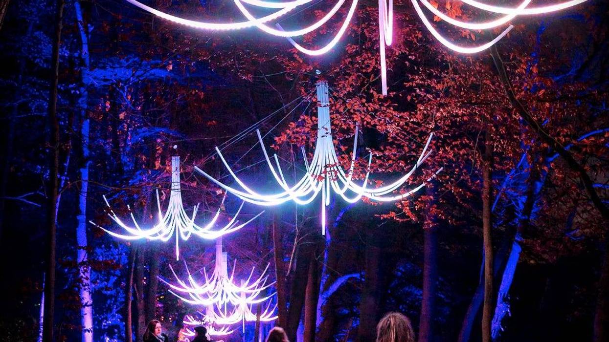 Chicago Botanic Garden Lightscape November 11, 2022 - January 8, 2023 il