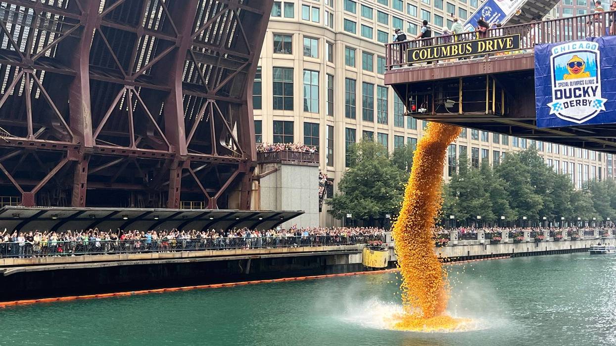 CHICAGO-PATOS DE HULE