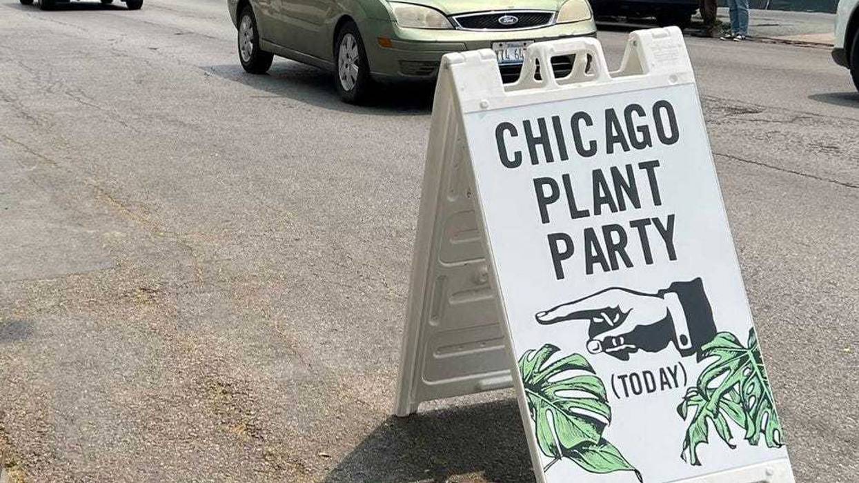Chicago Plant Party