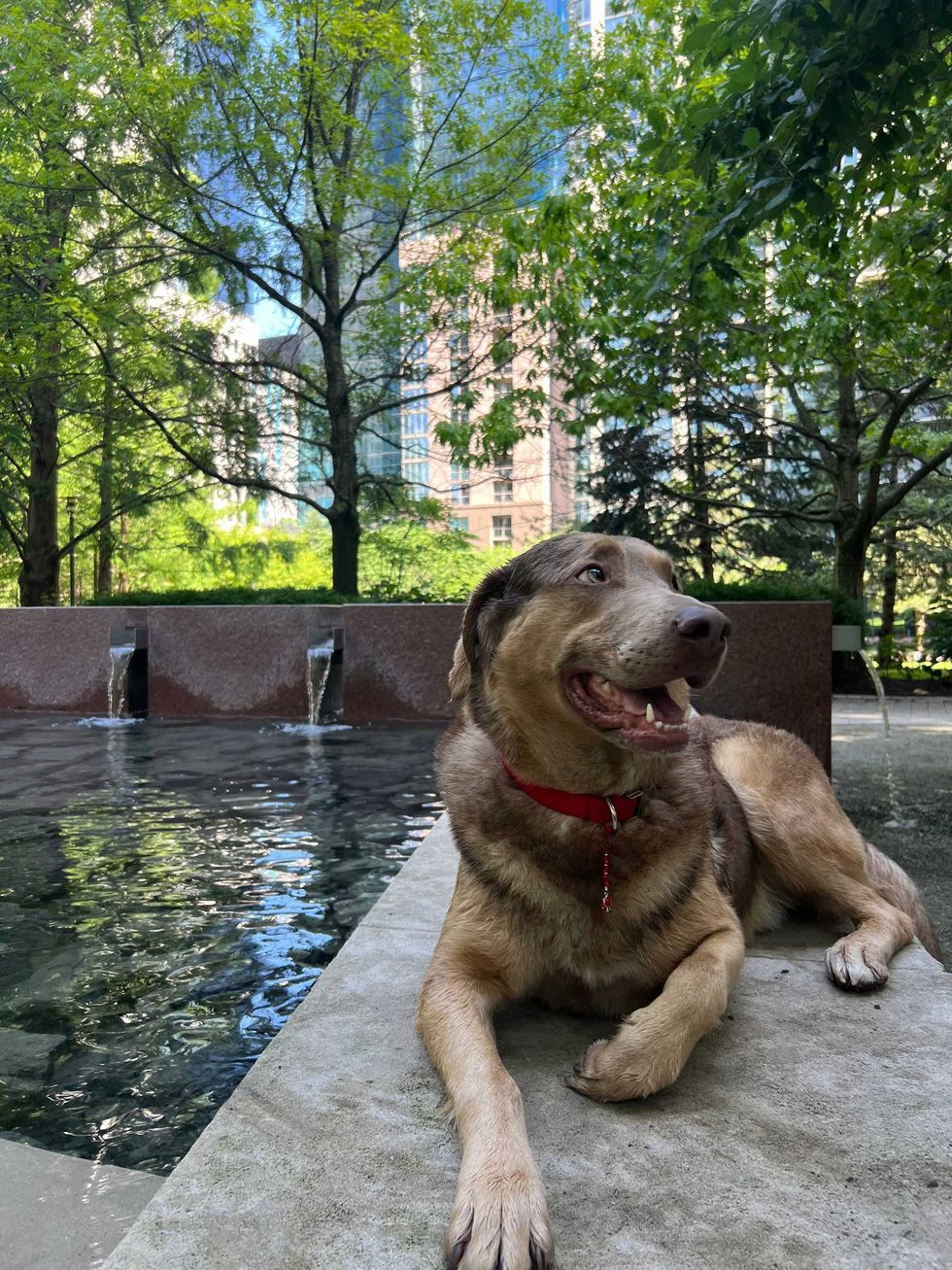 Chicago resident Estella